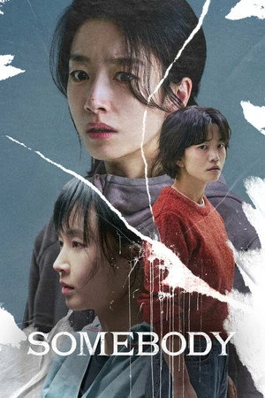 Somebody 2025 Hindi – Korean Dual Audio WEB-DL 720p – 480p – 1080p